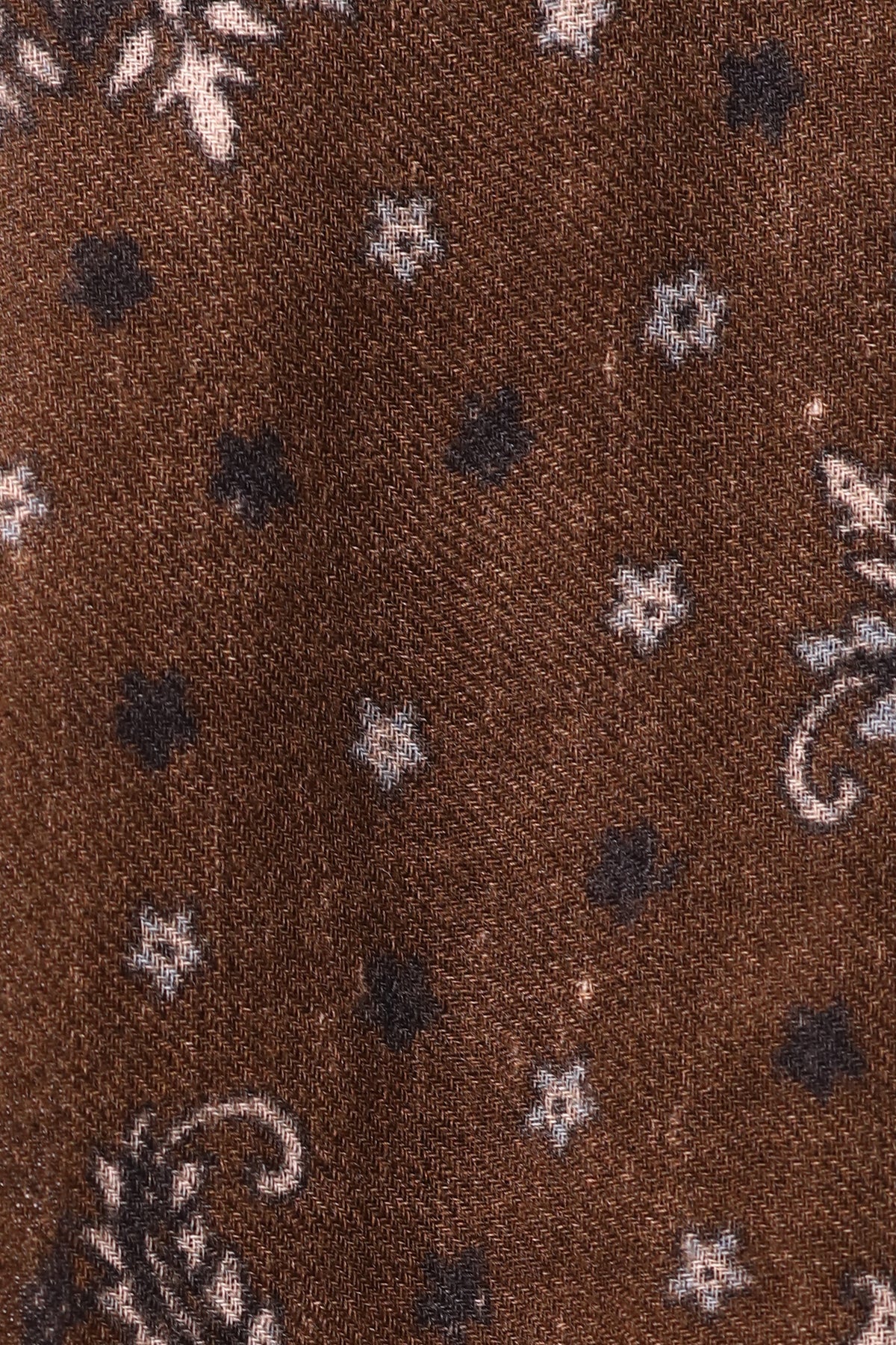 Starlight Paisley Print Wool Scarf - Wood-brown | SVEŽElife